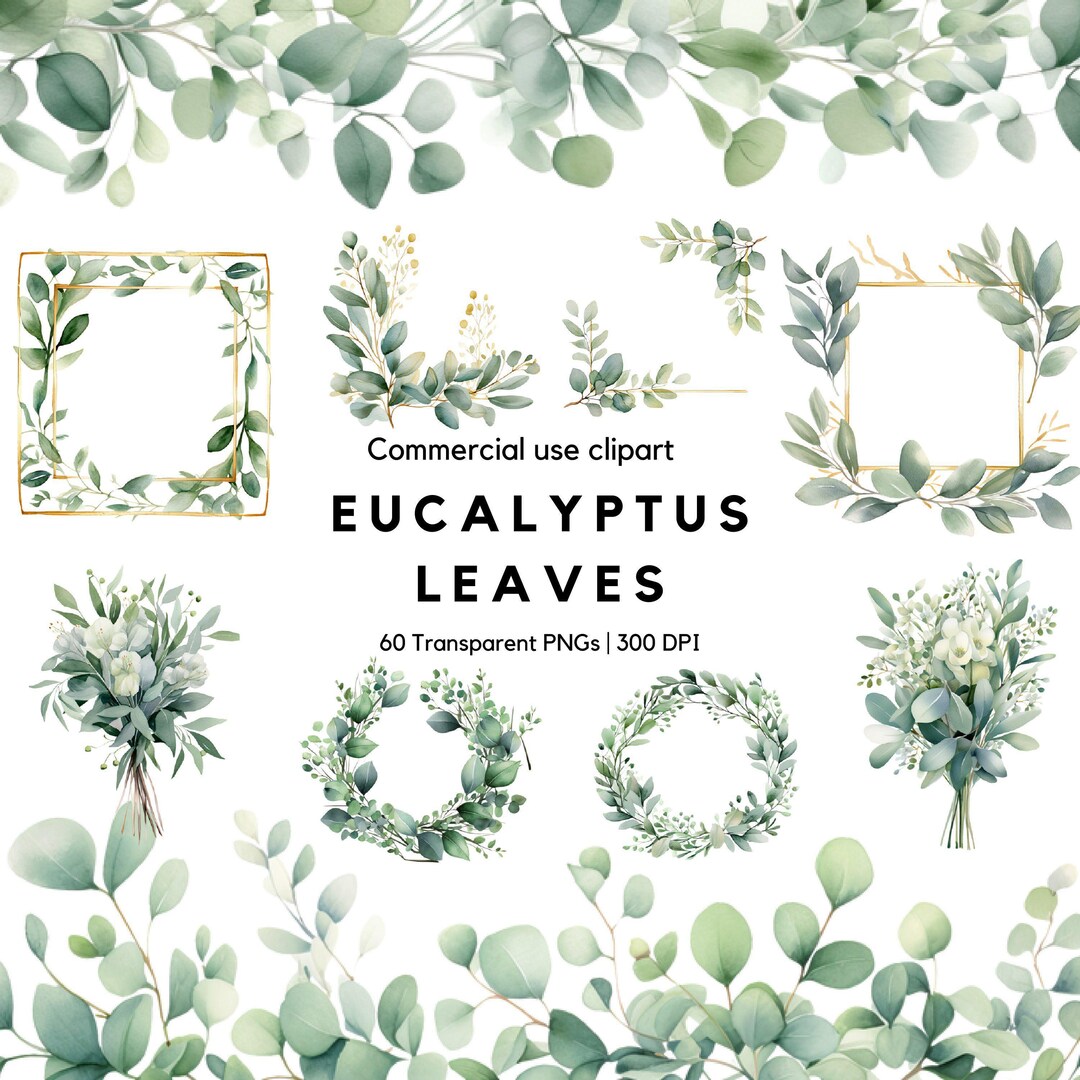 Watercolor Eucalyptus Clipart: Greenery Wedding Floral Frame (PNG) - Etsy