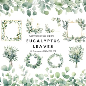 Watercolor Eucalyptus Leaves Clipart | Eucalyptus Border | Greenery Wedding | Green Leaves Png | Floral Frame Design | Eucalyptus Corner