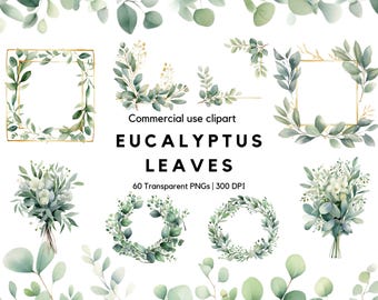 Watercolor Eucalyptus Clipart: Greenery Wedding Floral Frame (PNG)