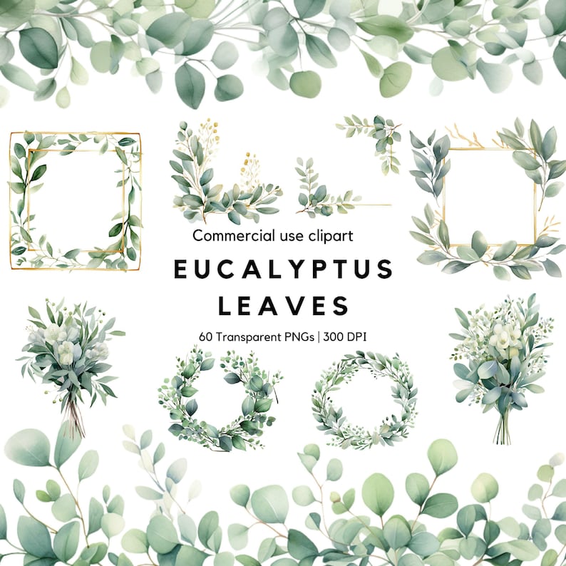 Watercolor Eucalyptus Clipart: Greenery Wedding Floral Frame (PNG) - Etsy