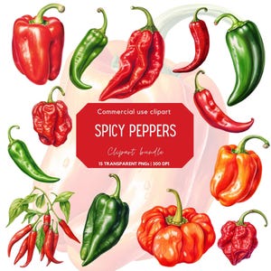 Watercolor Spicy Pepper Clipart | Chili Pepper | Hot Pepper | Red Hot Pepper | Spice | Food | Vegetables | Jalepeno | Scotch bonnet