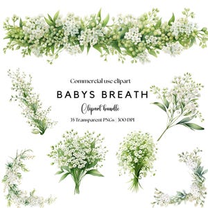 Aquarel babys adem bloemen clipart | Babyademhaling, png | Witte bloemen, png | Bloemenkransen | Bloemenlijsten | Trouwbloemen | Uitnodiging: