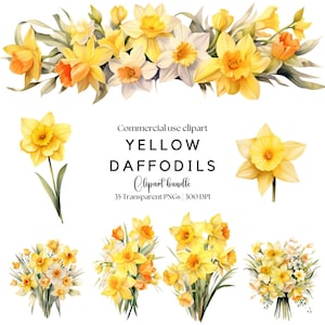 Gele narcissen Clipart | Aquarel narcis | Lentebloem clipart | Gele bloem, png | Bloemenclipart | Aquarel bloemen