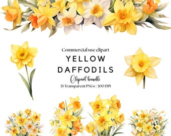Watercolor Yellow Daffodil Clipart: Spring Floral PNG (Digital Download)