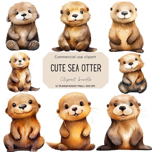 Aquarell Süsses Baby Seeotter Clipart | Kinderzimmer Kunst | Baby Mädchen Clipart | Meerestiergrafiken | Kommerzielle Nutzung Clipart