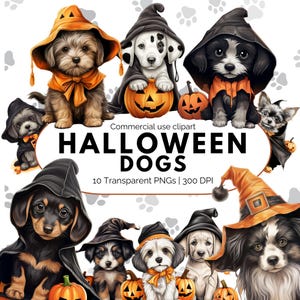 Halloween Dogs Clipart | Halloween Dogs Png | Cute Dog Clipart | Pumpkin Clipart | Cute Halloween Png | Spooky Dog Clipart