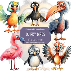 Quirky Birds Clipart | Pássaros engraçados | Pássaro fofo | Animais engraçados | Caprichoso | Pássaros de diário de lixo | Artesanato em papel digital | Pássaros bobos