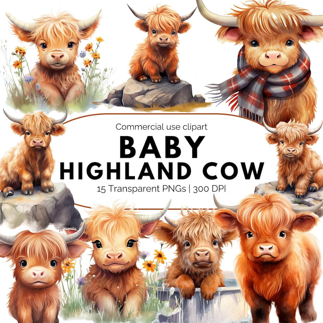 Baby Highland Cow Clipart Bundle, Watercolor Highland Cow PNG, Cute ...
