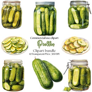 Clipart di sottaceti ad acquerello / Fumetto di sottaceti / Disegno di sottaceti / Barattolo di sottaceti / Cetriolo / sottaceti png / Cibo / Cucina / Illustrazione di sottaceti