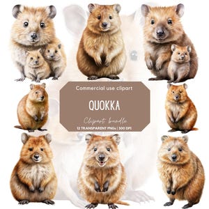 Realistic Watercolor Quokka Clipart | Quokka Sublimation | Wildlife clipart | Australian animals | Animal clipart | Cute Quokka