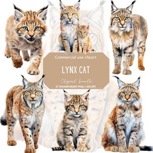 Lynx aquarelle réaliste Clipart | Sublimation de lynx | Illustration du lynx | Clipart animaux sauvages | Animal des bois | Clipart animaux | Chat sauvage