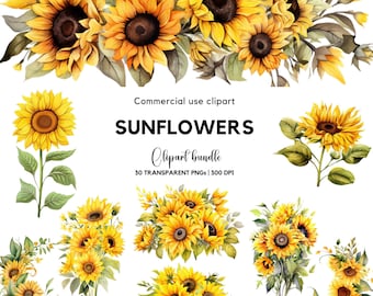 Könnte beinhalten: Eine digitale Sammlung von Sonnenblumenillustrationen mit verschiedenen Anordnungen, darunter einzelne Stiele, Blumensträuße und florale Ränder. Der Text lautet Commercial use clipart SUNFLOWERS Clipart bundle 30 TRANSPARENT PNGs | 300 DPI.