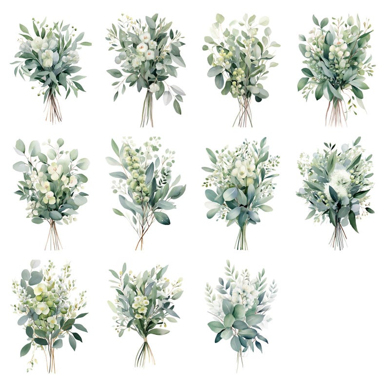 Watercolor Eucalyptus Clipart: Greenery Wedding Floral Frame (PNG) - Etsy
