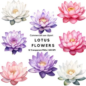 Clipart di fiori di loto ad acquerello / Ninfea / Fiore rosa / Fiori di loto rosa / Illustrazione di loto / Clipart di loto rosa / Fiori da matrimonio