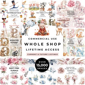Ensemble méga de la boutique Boutique complète Accès à vie 15 000 cliparts aquarelle, motif transparent, sublimation, graphismes originaux, utilisation commerciale