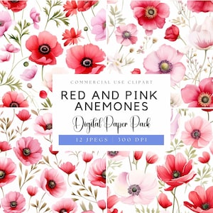 Pink and Red Anemones Digital Papers - wedding flowers png - anemone png - watercolor floral background - anemone illustration - botanical