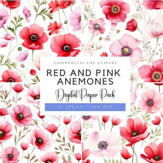 赤とピンクのアネモネの水彩画の花柄デジタルペーパー（300 DPI JPEG