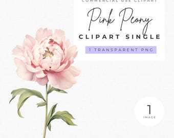 Pink Peony Watercolor Clipart: Single Floral PNG (Digital Download)