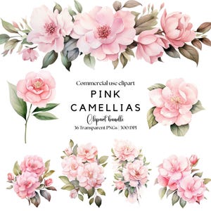Watercolor Pink Camellias Clipart: Spring Wedding Flowers (Digital Download)