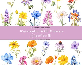 Clipart de flores silvestres en acuarela: Ramo floral de verano (Descarga digital PNG)