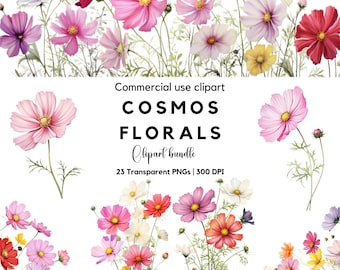 Watercolor Cosmos Floral Clipart: October Birth Flower (PNG)