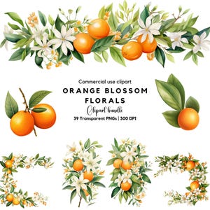 Aquarel oranjebloesem clipart: citrus bloemenkrans (digitale download)