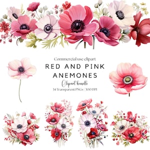 Red and Pink Anemone Clipart – Watercolor Floral - Wedding Flowers PNG - anemone illustration - anemone png - Valentines florals