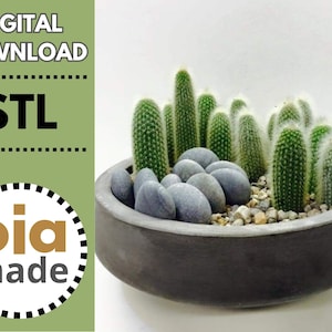 Könnte beinhalten: Ein dunkelgrauer Beton-Pflanztopf gefüllt mit kleinen Kakteen, grauen Steinen und Kieselsteinen. Der runde Topf hat eine niedrige Form. Das Bild enthält auch den Text "DIGITAL DOWNLOAD", "STL" und "oia made".