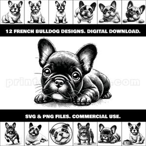 Französische Bulldogge PNG und SVG Clipart Bundle; 12 einzigartige Frenchie Designs für Shirts, Wandkunst, Pet Shop Decor, Hundeshow Merch, Banner, Geschenke