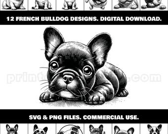 Clipart de bulldog francés grabado: 12 diseños únicos (SVG y PNG)