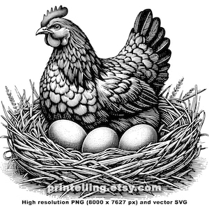 lot de poulets vintage PNG et SVG ; Images de 3 poules couvant des œufs pour concevoir des t-shirts rustiques, image de marque de ferme, emballage, produits dérivés, décoration d'intérieur, impressions