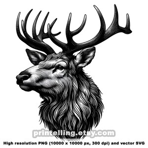 May include: Black and white illustration of a deer head with large antlers. The deer is looking to the left. The image is high resolution and suitable for printing.