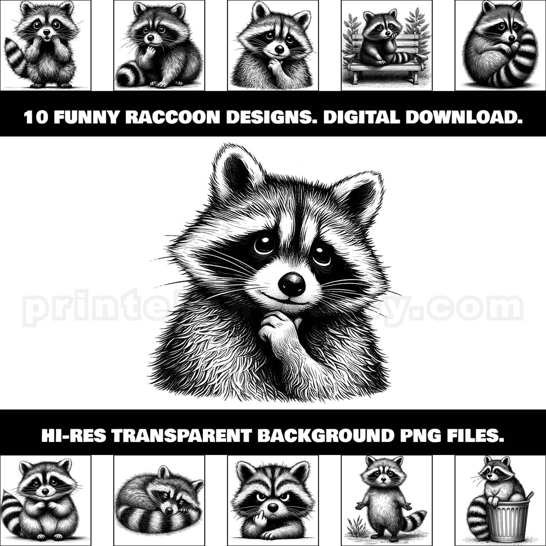Funny Raccoon PNG Bundle; 10 Hi-res Retro Style Clipart Designs for