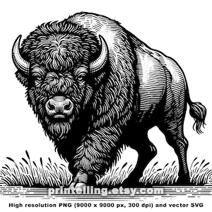 Può includere: Illustrazione in bianco e nero di un bisonte in legno inciso, di fronte, con la testa bassa e le corna visibili. Il bisonte è in piedi in un campo di erba alta.