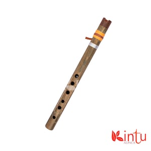 Professional Quena Flute, Handcrafted Bamboo Flute, Andean Quena, Wind Instrument, Inca Musical Instrument, Quena Flute