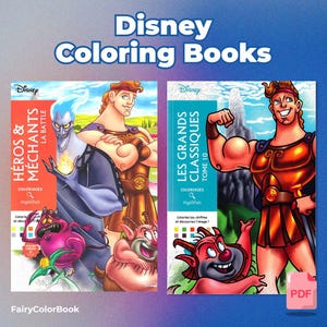 Set of 2 Digital Mystery Coloring Books - Disney Coloring Books - Coloring book pack - 2 PDF Books 100 Pages - Heros and Mechants