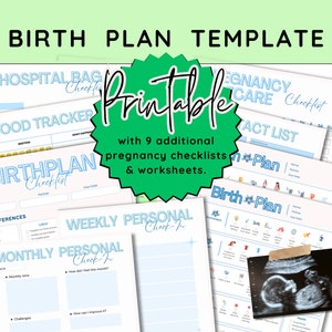 Birth plan template, pregnancy planner, labor and delivery, natural birth plan, doula birth plan bundle, pregnancy plan, visual birth plan