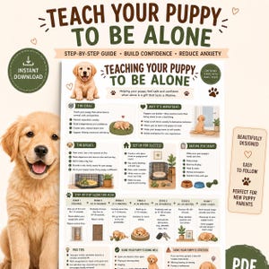 May include: An educational infographic titled Teach Your Puppy To Be Alone, featuring a golden retriever puppy, step-by-step training stages, and advice on building confidence and reducing anxiety, presented in a clear, organized layout.