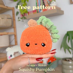 May include: A plush orange pumpkin toy with a soft texture, featuring two large black glossy eyes, a small stitched mouth, a light green curly stem, and a small tan leaf. The text free pattern, no sew, 30 min, and Squishy Pumpkin is visible.