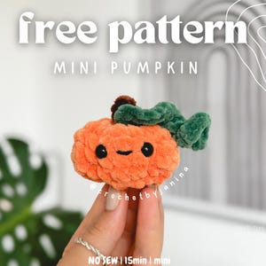 May include: A free crochet pattern for a mini pumpkin. The pumpkin is orange with a green stem and a cute face. The pattern is no-sew and takes 15 minutes to complete.