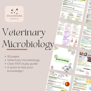May include: A digital study guide for veterinary microbiology, with 35 pages of content. The cover displays the title "Veterinary Microbiology" and the StudyPaws logo. Additional pages with detailed notes and diagrams are also visible.