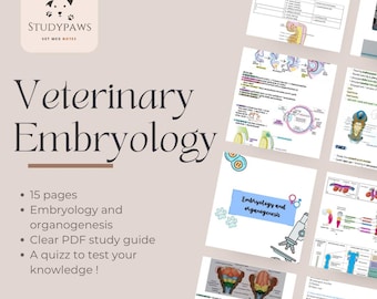 Aantekeningen veterinaire embryologie: duidelijke pdf-studiegids voor dierenartsstudenten | Digitale download