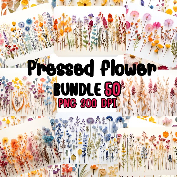 Bundle PNG de 50 fleurs pressées, fleurs séchées de lavande pressées dans le style d'une image de tasse à l'aquarelle, image de tasse de fleurs pressées, tasse de noyau de cottage