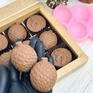 May include: A box of assorted milk chocolate candies. The box contains round chocolates with a horse design and chocolates shaped like pinecones. A hand wearing a black glove holds two of the pinecone-shaped chocolates.