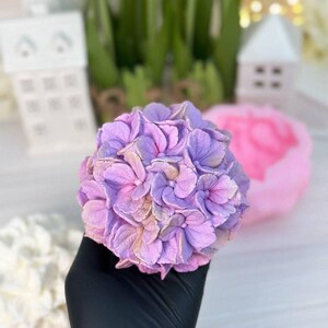May include: A handcrafted, lavender-colored hydrangea flower with a detailed petal design. The flower is held in a black glove, with a blurred background featuring white tulips and decorative houses. The flower's petals have a gradient of pink and gold.
