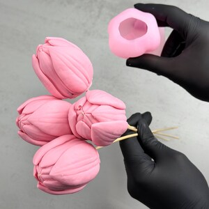 Pu&ograve; includere: Stampi a forma di tulipano rosa e fiori finiti. I fiori sono su spiedini di legno e gli stampi sono tenuti in una mano guantata. I fiori sono di un rosa tenue e gli stampi sono di una tonalit&agrave; di rosa pi&ugrave; chiara.