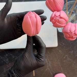 Pu&ograve; includere: Dolci rosa a forma di tulipano su bastoncini di legno, forse cake pops o caramelle. Uno &egrave; tenuto da una mano guantata, altri sono disposti in un bicchiere. &Egrave; visibile anche uno stampo a forma di fiore.