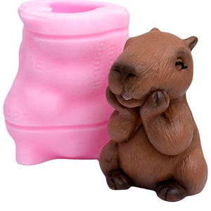 3D Capybara Silicone Mold, Capybara Fondant Mold, Animal Set Mold, Capybara Birthday Mold, Cute Animal Mold, Candle mold, DIY Craft Molds