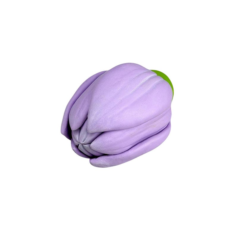 Pu&ograve; includere: Un bocciolo di tulipano viola chiaro chiuso con uno stelo verde. I petali sono strettamente arrotolati, mostrando una sottile consistenza e sfumature. Il fiore &egrave; posto su uno sfondo bianco pulito, evidenziando la sua forma delicata.