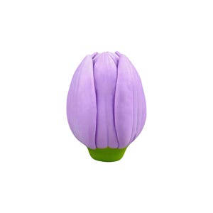 Pu&ograve; includere: Un bocciolo di fiore in peluche color lavanda con base verde. I petali morbidi e arrotondati sono ben chiusi, creando una superficie liscia e strutturata. Il bocciolo &egrave; un oggetto decorativo stravagante.